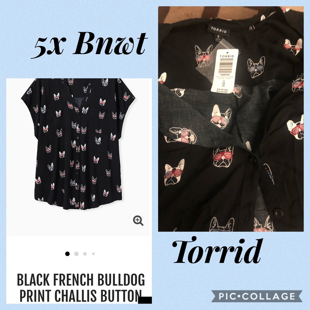 5x Bnwt lightweight English bulldog blouse